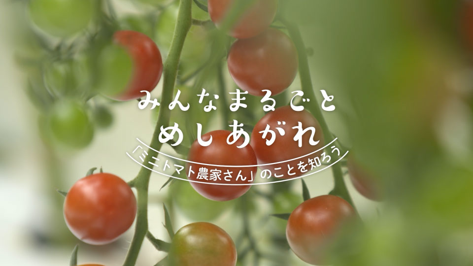 長崎西彼農業協同組合様食育動画 ミニトマト