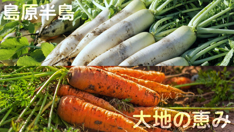 島原雲仙農業協同組合Aコープあいの様サイネージ野菜